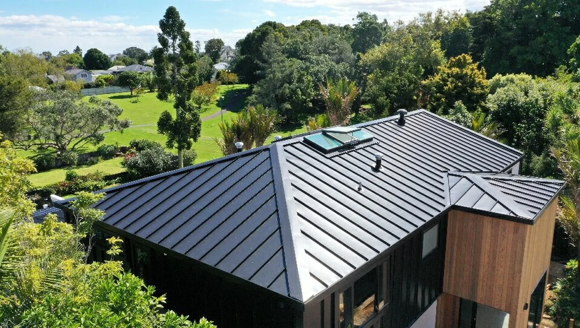 A house with black standing seam roofing surrounded by lush greenery in a park-like setting.