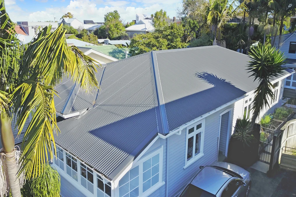 A classic single-storey home with a grey corrugated metal roof, surrounded by tropical palm trees in a suburban setting.