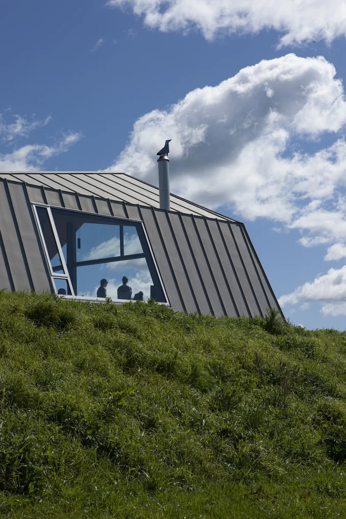 A hillside house with steel standing seam roofing blending seamlessly with the natural environment.